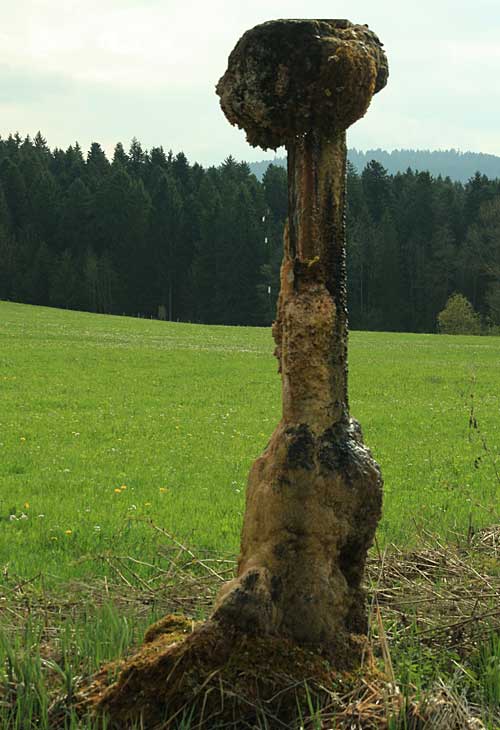 Teilsäule Weiler, vollkommen zugesintert 