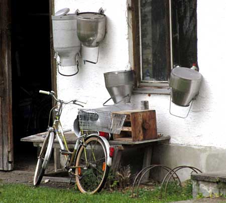 hier wird noch von Hand gemolken und mit Milchkannen mit Deckel die Milch abgeholt