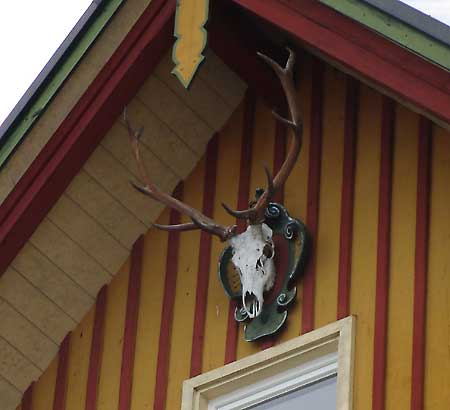 Ein Zehnender hat in Karsee dauerhaft seinen Platz gefunden