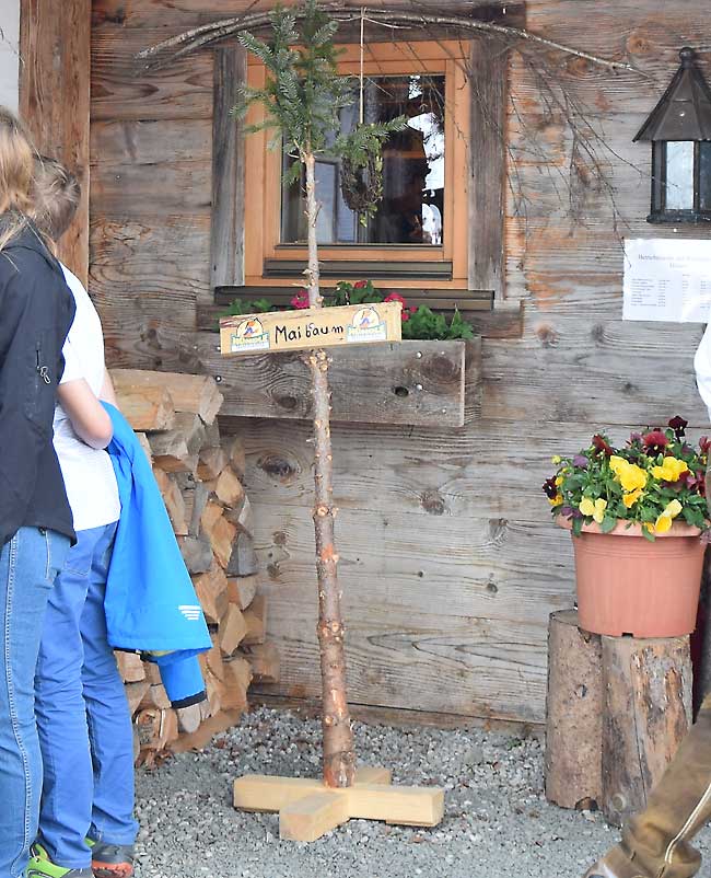 Das Bergetau in groß - Seil kurz - Baum schwanzelt micht - praktisch