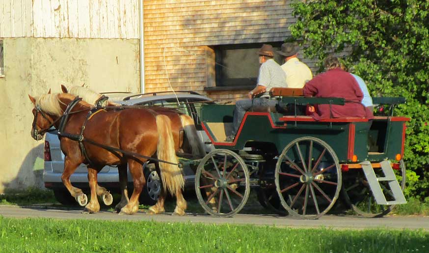 Fahrschule für Kutschen und Pferdefuhrwerke im Allgäu