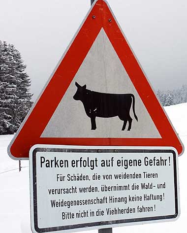 Nicht in die Viehherde fahen, sonst Loch im heiligen Blechle! Auf dem Weg zur Sonnenalpe gesehen. Sonthofen-Altstätten-Hinang