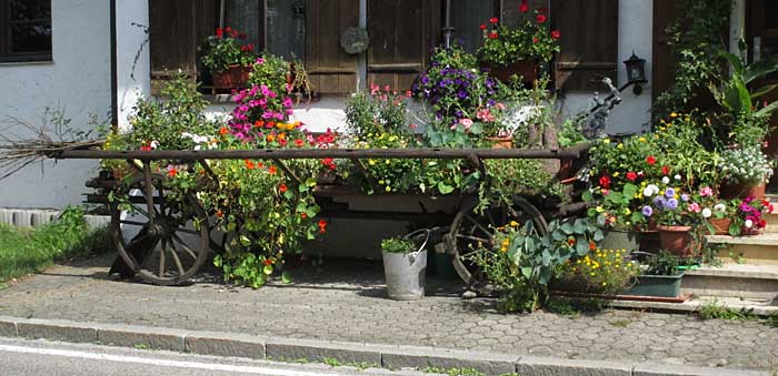 großer Leiterwagen als Blumenständer - Opfenbach 2016