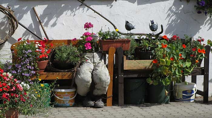 Muthen Opfenbach, Blumenhose im großen Blumen Ensemble 2016