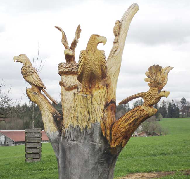 Holz Theo - Theo Walser in Argenbühl