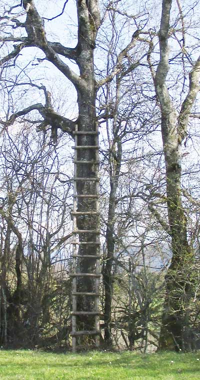 Jägerstand Grünenbach, Motzgasried, wo sitzt man hier?