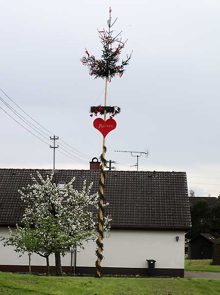 Wenn keine anderen Gründe vorliegen, kann man für seine Freundin einen Maibaum aufstellen, in jedem Schaltjahr kann ein Madel für ihren Freund das selbe tun!