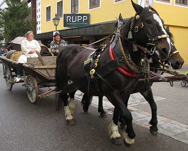 Nahversorgung der Innenstadt mit Fuhrwerken im Allgäu