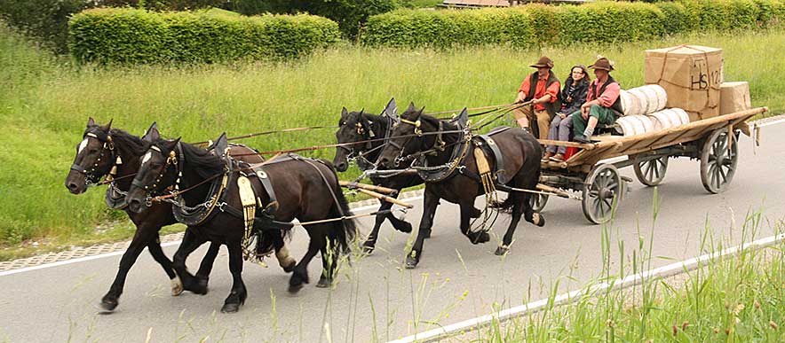 Salzzug der Rödler 2013 von Immenstadt nach Simmerberg - Bild anklicken -> Übersicht bei Oberstaufen