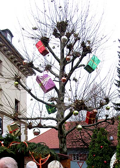 2016 - jedes Jahr wieder in Scheidegg auf dem Weihnachtsmarkt - der Geschenkebaum