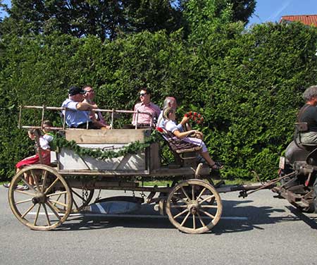 echter Bulldog - mit Leiterwagen