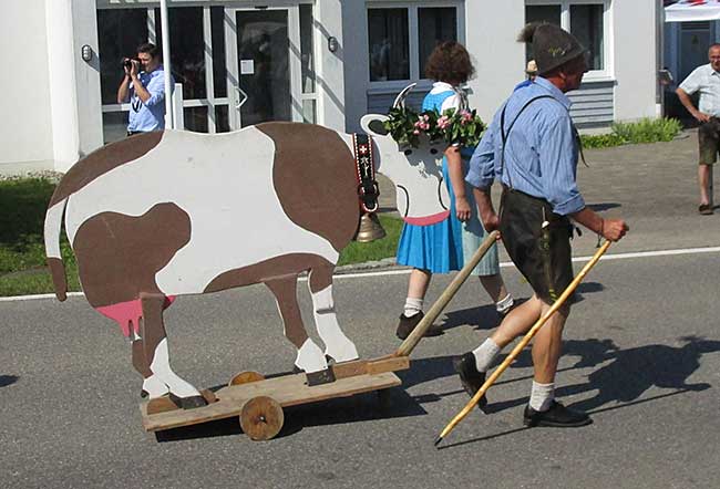kein Witz - Holzkuh als Hauptattraktion vom Viehscheid in Schlachters - jedes Jahr!
