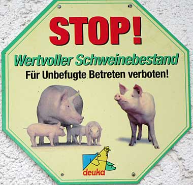 wertvoller Schweinestall - Ruppenmanklitz 2016 zw. Weiler und Lindenberg