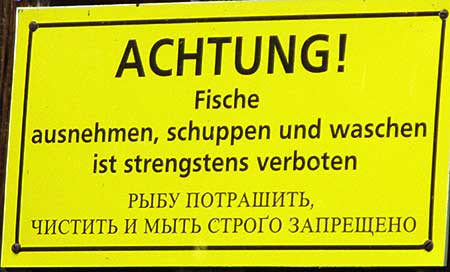 Achtung Fische ausnehmen, schuippen und Waschen ist strengstens verboten am Bachtelweiher