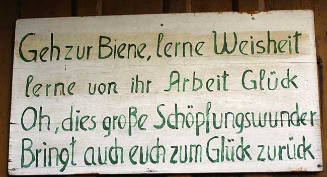 Bienen im Allgäu - Imker - Geh zur Biene, lerne Weisheit, lerne von Ihr Arbeit und Glück