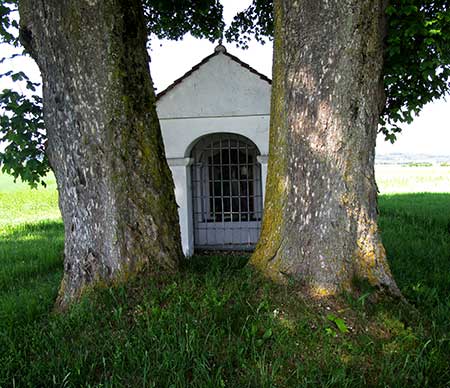 über all nur Birken an den Wegen, hier ausnahmsweise zwei sehr alte Buchen, die den Bildstock umrahmen