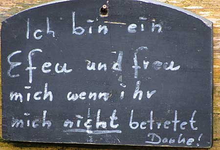 Ich bin ein Efeu und freu mich wenn ih mich nicht betretet. Danke - Leider notwendig, die Besucher trampeln alles nieder