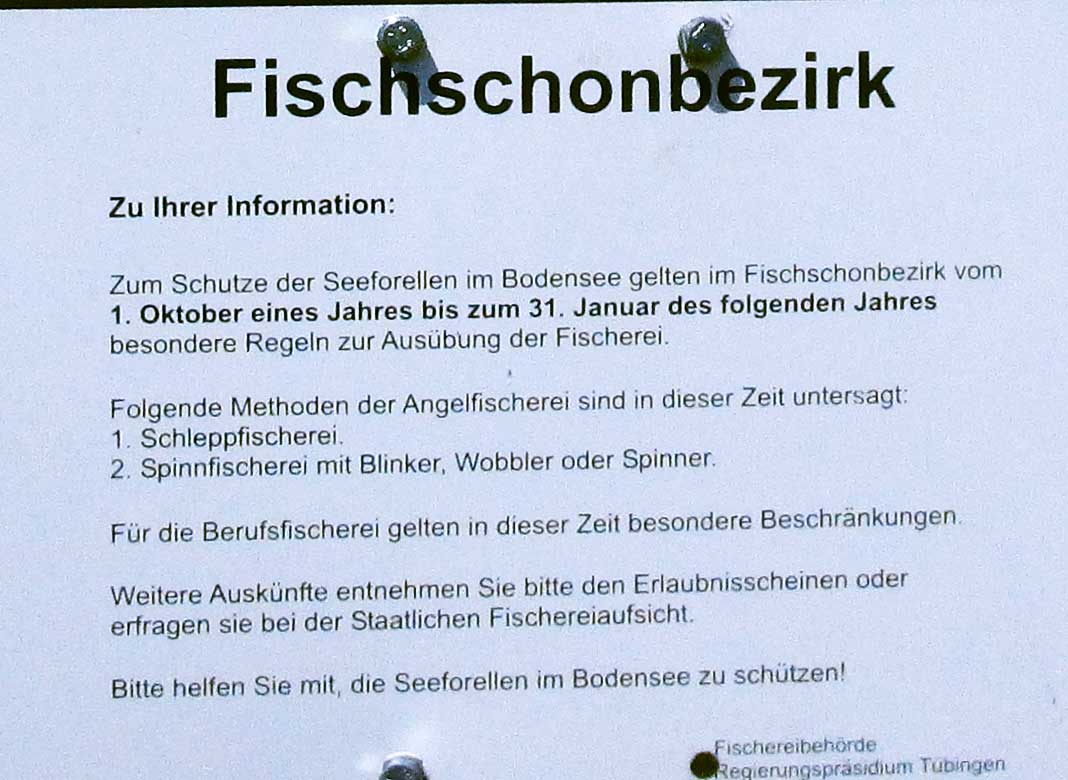 2006 - Verkehrszeichen Halten Verboten Österreich