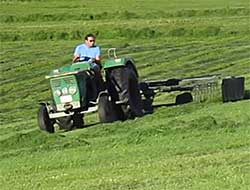 Hanomag, Granit 501 Bj.1970 live und in action