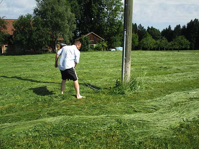 2017-humor/heimenkirch-sense.kl.jpg