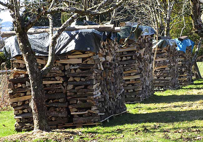 Holzvorräte nach einem kalten Winter in einem Garten gesehen Gestratz 2017