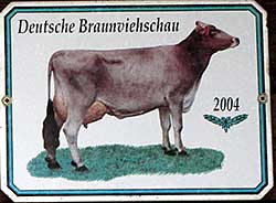 Teilnehmer an der Deutschen Braunviehschau - Bauernhöfe auf der Hub - Weitnau 2017