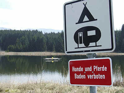 Pferde Badeverbot am Kaltenbrunner See