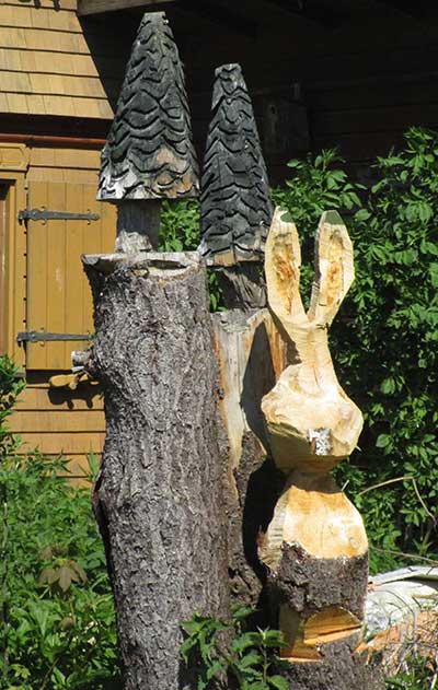 Hase im Wald auf einem Baum - Schwanden - Rohrdorf - Isny 2017