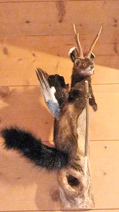 2017 - dieserWolpertinger konnte vor dem Kochtopf gerettet werden - Moorhütte Oberjoch