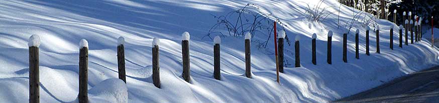 Winter auf der Weide - Oberstaufen Bad Maria Rein 2017