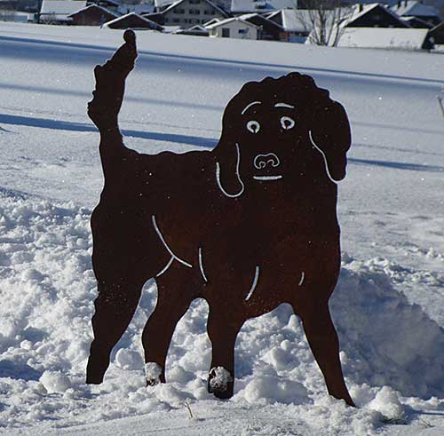 bissiger Wachhund in Osterdorf (Oberstaufen) 2017