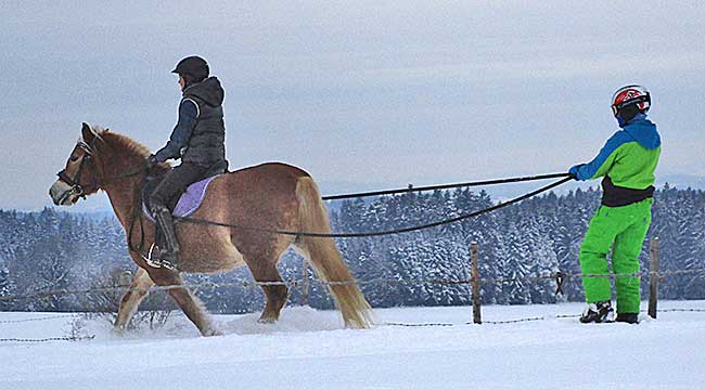 Skijörig im Allgäu