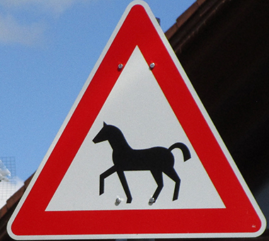 Schwanden (Rohrdorf/Isny) hier ist ein Pferdehof, dieses Schild gibt es aber nicht, weil kein Reiter auf dem Pferd sitzt