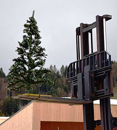 Weihnachtsbaum auf einen Stapler in Langen (BGW) 2017