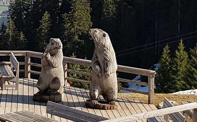 Kettensägekunst Weltcuphütte Go Ofterschweang