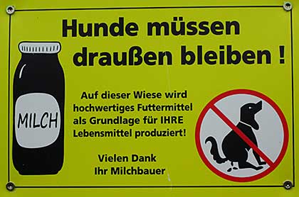 Hunde müssen draussen bleiben, Wiese nur für Kühe 