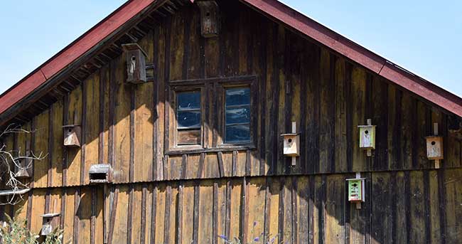 10 Vogelhäuser an einem Giebel in Biessenhofen 2018