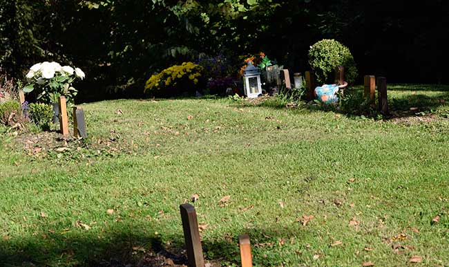 Der Kleintierfriedhof