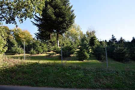 Der Kleintierfriedhof