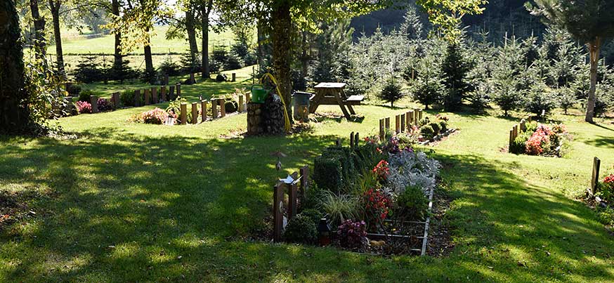 Der Kleintierfriedhof bietet mehrer Rastmöglichkeiten, im Hintergrund die Weihnachtsbäume