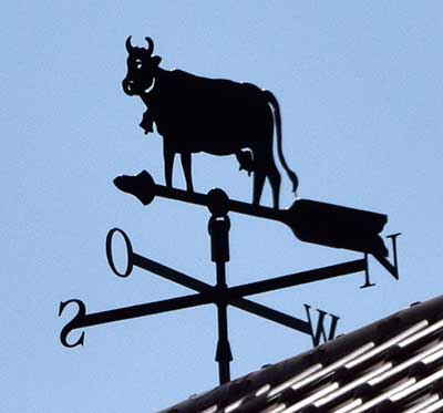 Bio Käserei in Zurwies (Wangen) hat eine Kuh als Wetterfahne auf dem Dach