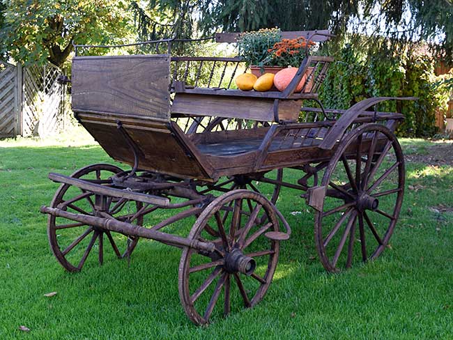 Gartenstillleben mit Kutsche und Käsekessel in Engetsweiler (Wangen)