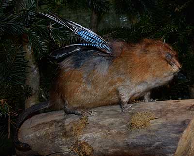 flugunfähiger Wolpertinger in der Lindauer Hafenweihnacht 2018