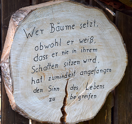 Wer Bäume setzt, obwohl er weiß, dass er nie in ihrem Schatten sitzen wird, hat zumindest angefangen, den Sinn des Lebens zu begreifen (Lindenberg 2018) - Zitat von Rabindranath Tagore