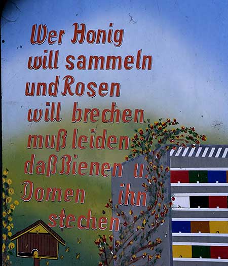 Bienen im Allgäu - Imker - Wer Honig will sammeln und Rosen will brechen, muß leiden dass Bienen und Dornen ihn stechen