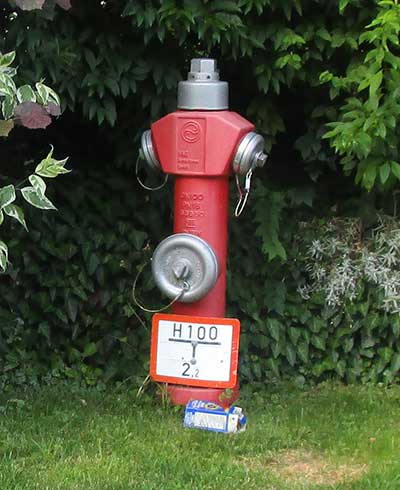 Eingewachsener Hydrant in Oberreute 2018