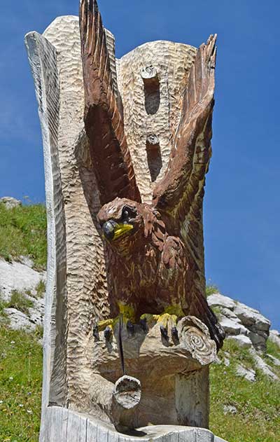 Steinadler am Nebelhorn - strengsten geschützt-  bitte nicht nähern und Nest in Ruhe lassen