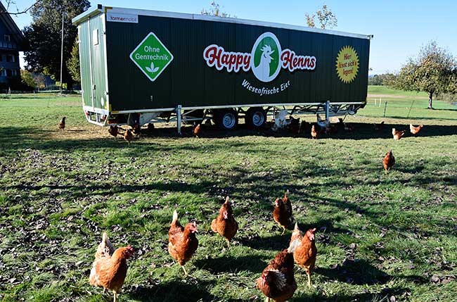 XXL Hünerstall, transportabel, Happy Henns - wiesenfrische Eier in Opfenbach