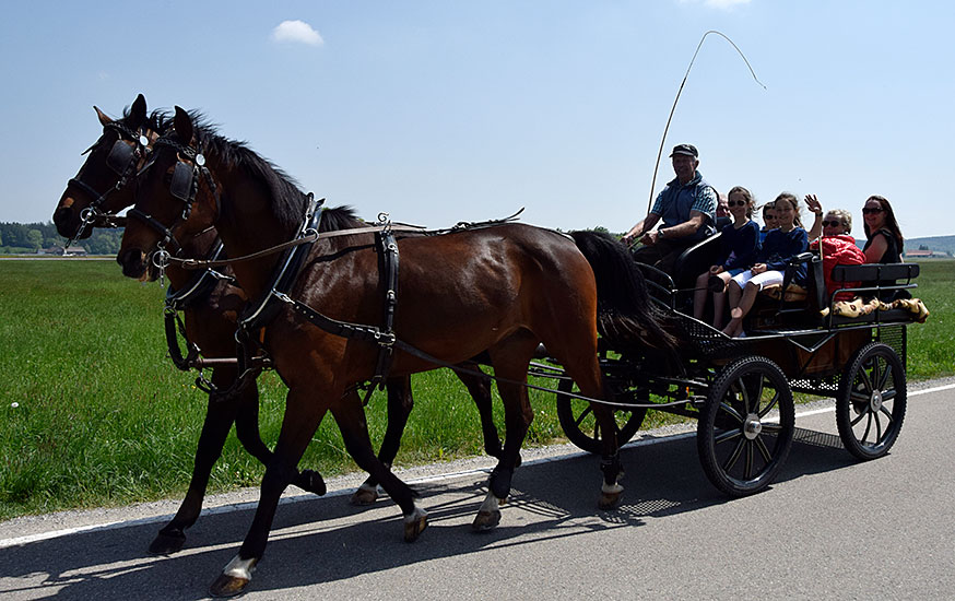 Pferdekutsche bei Aichstetten 2018