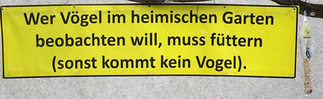 Gartencenter in der Nähe von Grünkraut (Ravensburg) - Wer Vögel im heimischen Garten beobachtenb will, muss füttern, (sonst kommt kein Vogel) - wie wäre es mit insektenfreundlichen Pflanzen, Sonnenblumen etc.? 